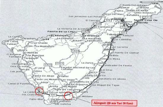 Las Terassas- Playa De Las Americas - Tenerife- Espagne Exterior foto